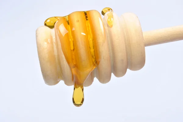 달콤한 유기농 벌 꿀 — 스톡 사진