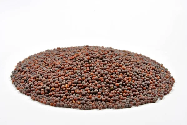 Organic mustard seed — Stock Photo, Image