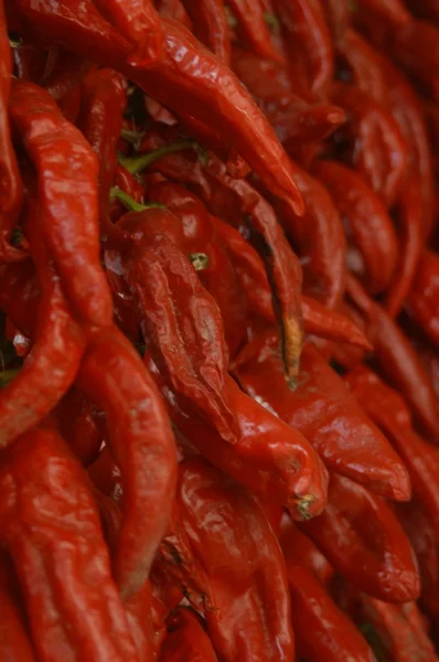 Hot chilli — Stock Photo, Image