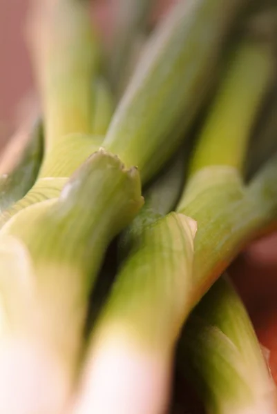 Česnek cibule — Stock fotografie
