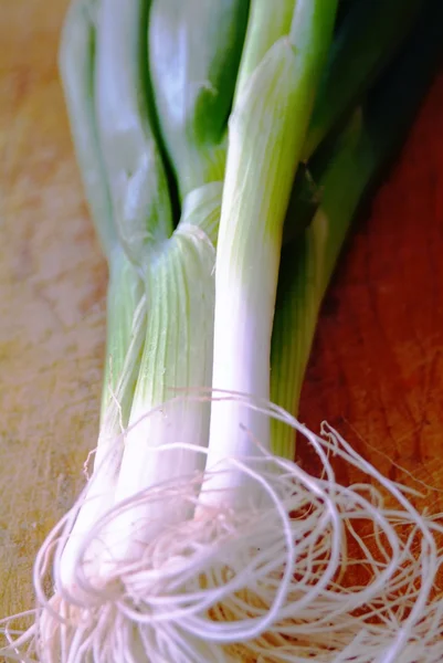 Česnek cibule — Stock fotografie