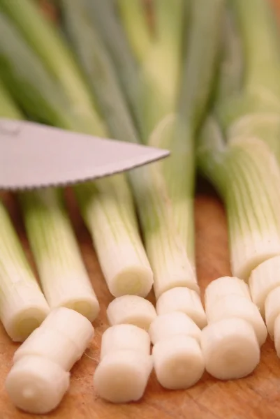 Garlic onion — Stock Photo, Image