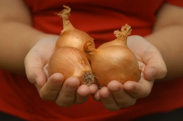 Jak wyciąć cebuli — Zdjęcie stockowe