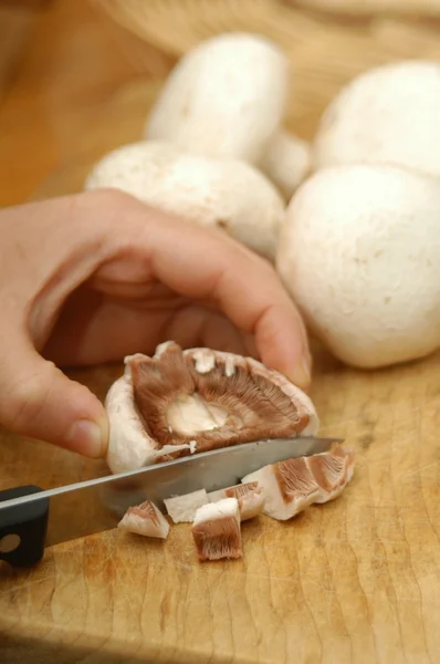 Jak ušetřit na houby — Stock fotografie