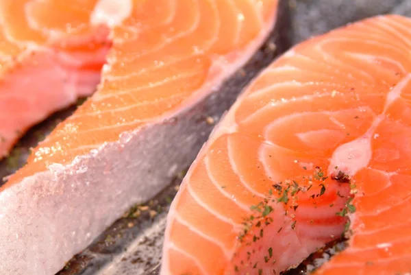 Stock image Wild salmon