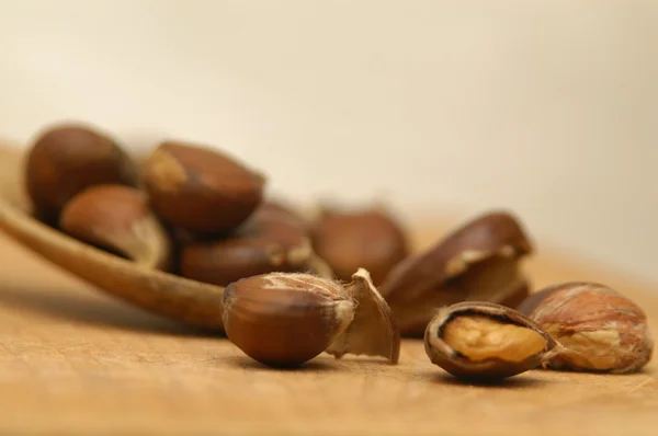 Chestnuts, some open — Stock Photo, Image
