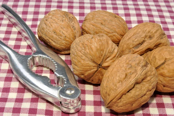 Whole organic walnuts and a nutcracker — Stock Photo, Image
