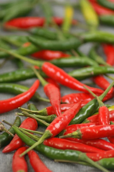 Groene en rode hete organische chili — Stockfoto
