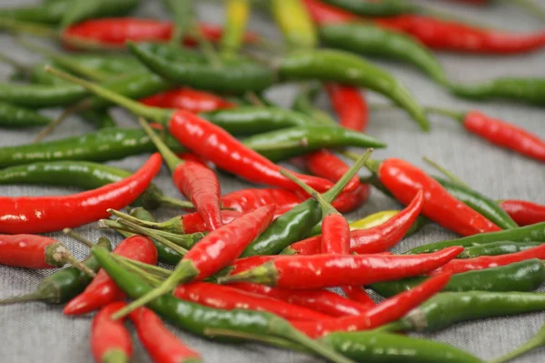 Green and red hot chili — Stock Photo, Image