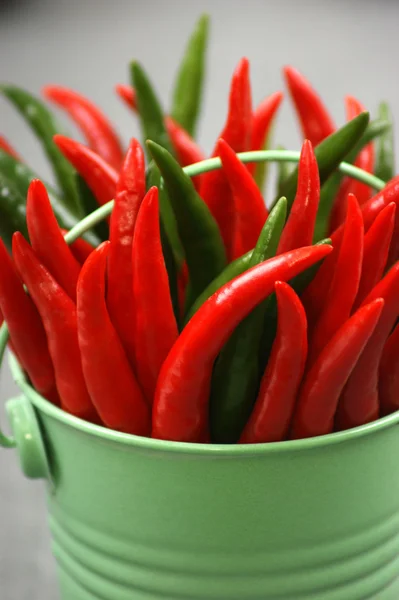 Några röda och gröna chili — Stockfoto