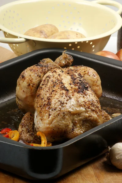Chicken with fresh vegetable — Stock Photo, Image