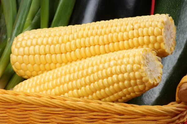 Органическая сладкая кукуруза — стоковое фото
