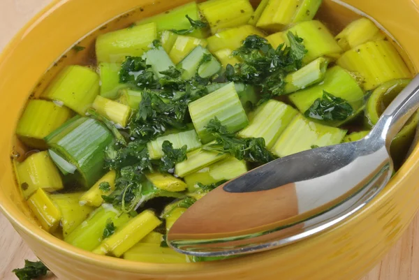 Органічний і здоровий суп з цибулі-порею — стокове фото