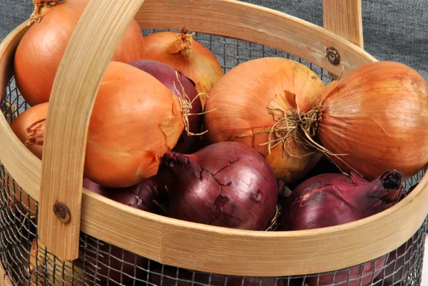Some fresh organic onions — Stock Photo, Image