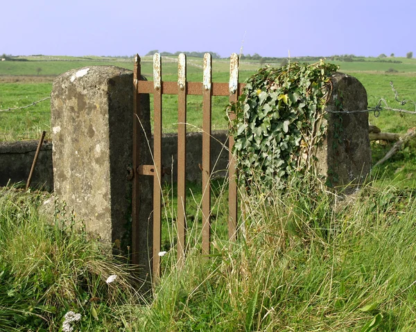 Puerta vieja y dos pilares —  Fotos de Stock