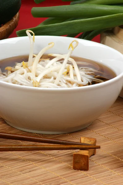 Japonský styl nudlová polévka — Stock fotografie