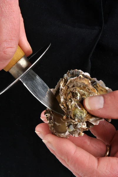 Oyster and knife — Stock Photo, Image