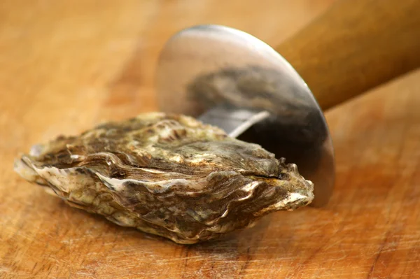 Oyster and a knife to open — Stock Photo, Image