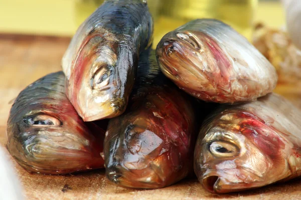 Some fresh organic sardine — Stock Photo, Image