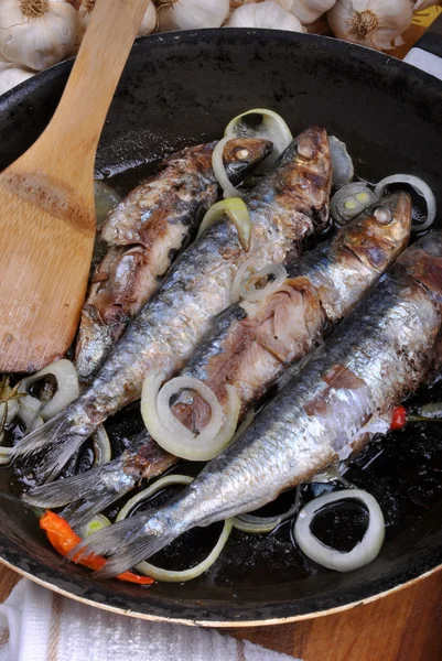 Grilované sardinky v pánvi — Stock fotografie