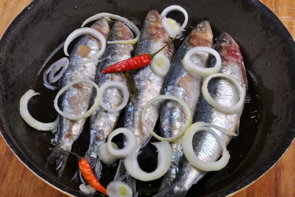 stock image Grilled sardine in a pan