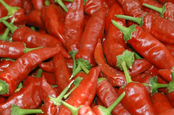 Some organic red paprika — Stock Photo, Image