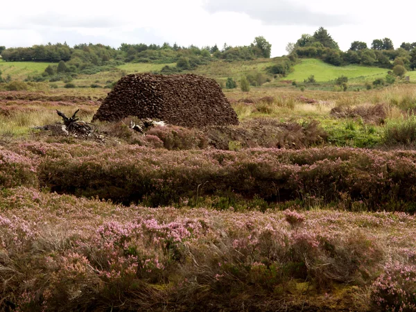 Bog land and a some turf — Stock Photo, Image