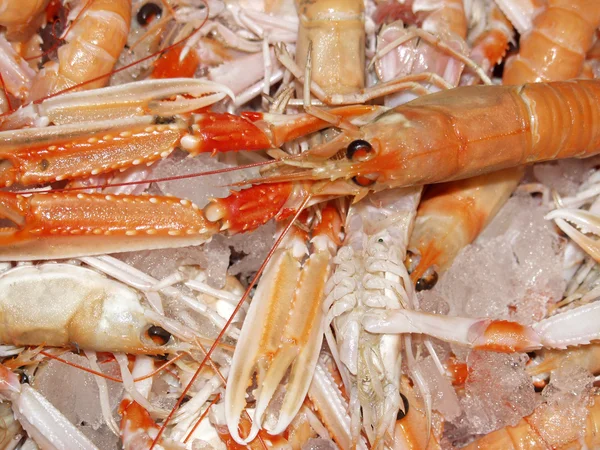 Fresh organic king prawns — Stock Photo, Image