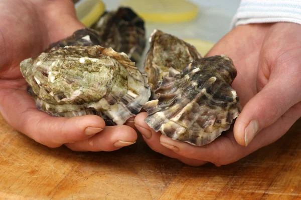 Some fresh and organic oyster — Stock Photo, Image