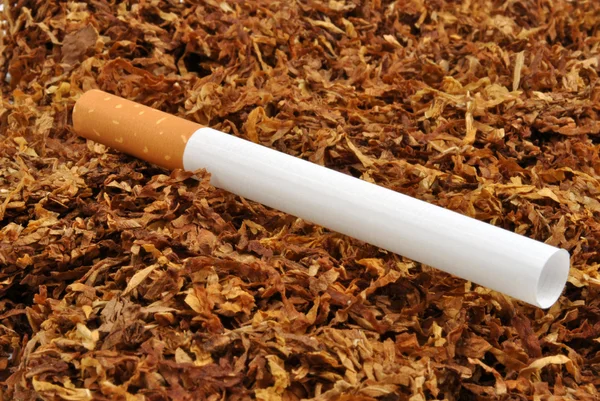 Učinit vlastní cigarety — Stock fotografie