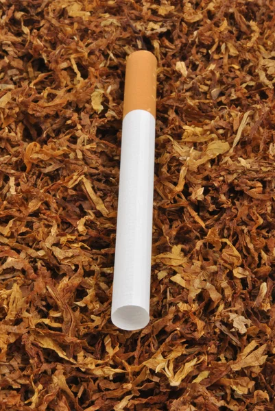Hogy a saját cigaretta — Stock Fotó