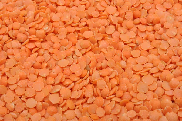 有機性赤い分割豆 — ストック写真