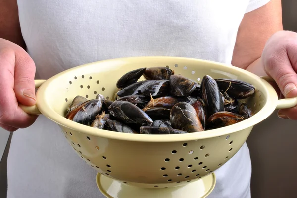 stock image Organic mussel ready to eat