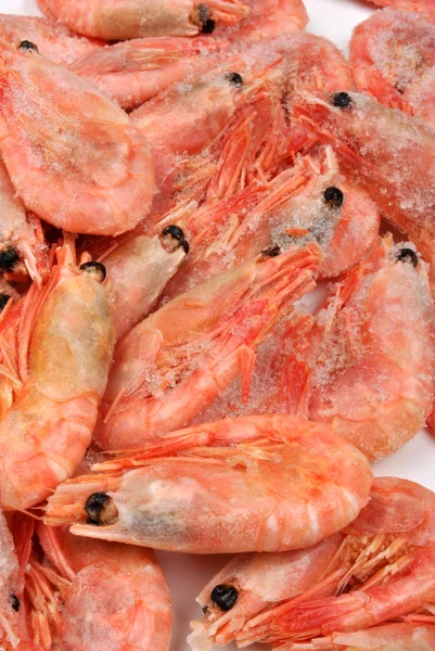 Fresh frozen organic prawns — Stock Photo, Image