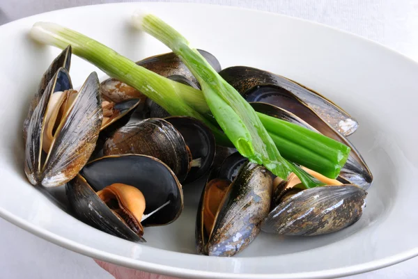 Organic mussel ready to eat — Stock Photo, Image