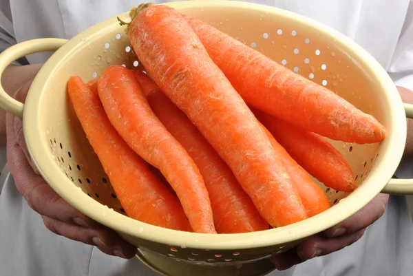 Healthy organic carrot — Stock Photo, Image