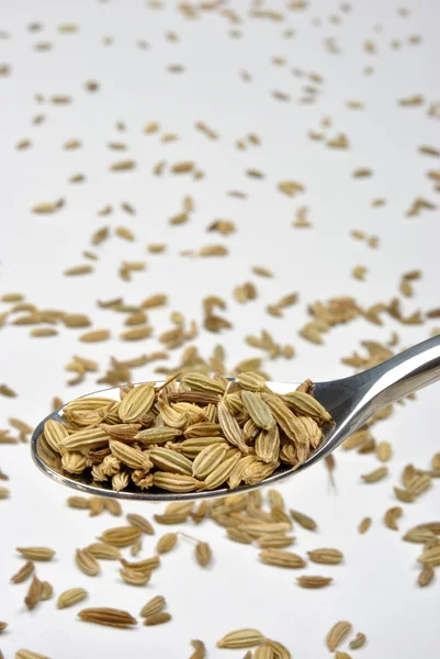 Caraway seed on spoon — Stock Photo, Image