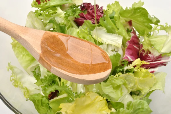 Organický salát v misce — Stock fotografie