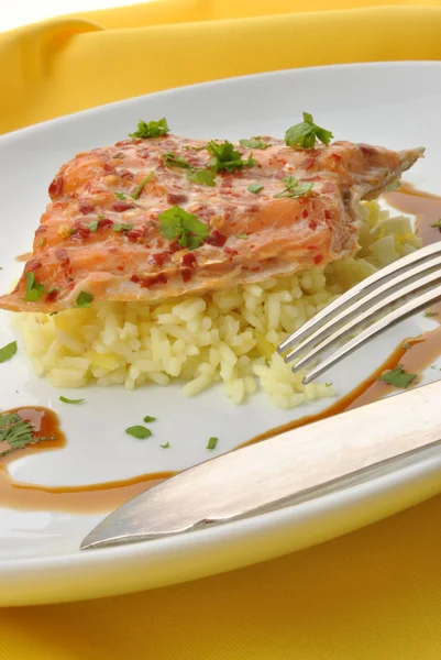 Smoked trout with organic rice — Stock Photo, Image