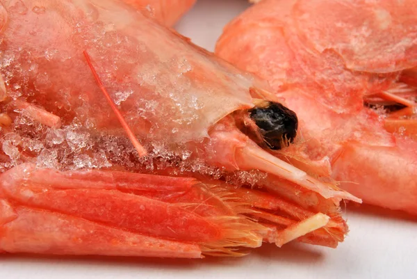 Some fresh frozen organic prawns — Stock Photo, Image
