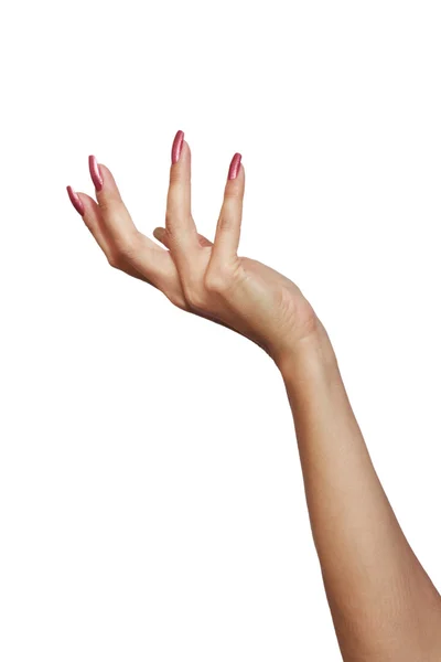 Beautiful female hand — Stock Photo, Image