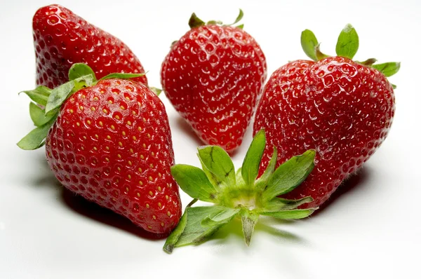 Erdbeere — 스톡 사진
