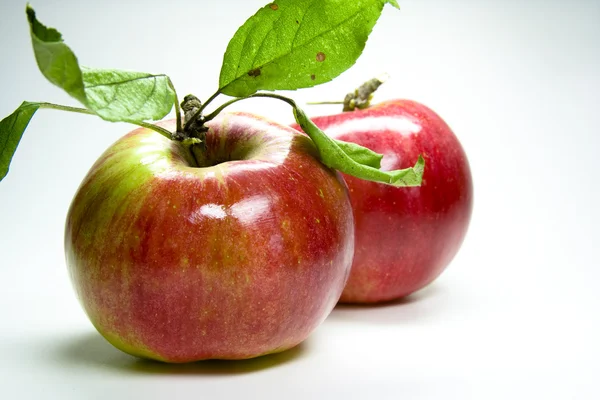 stock image Roter Apfel