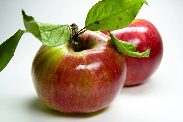 stock image Roter Apfel