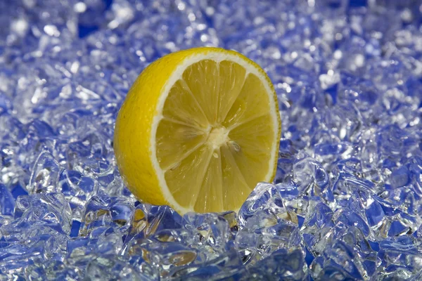 Zitrone-2008 — Stockfoto