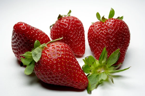 Erdbeere — 스톡 사진