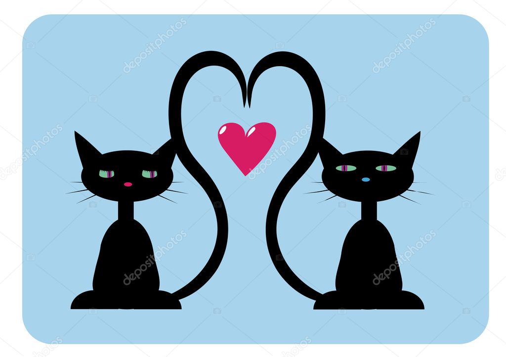 Two black cats in love