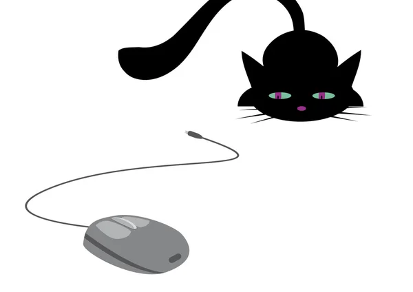 Cat è a caccia di mouse per computer — Vettoriale Stock