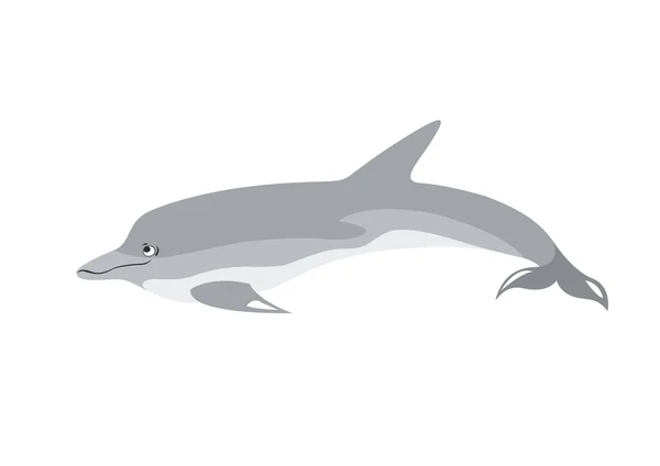 Delfino dei cartoni animati — Vettoriale Stock