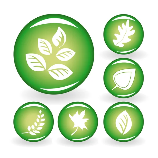 Set di icone web con foglie — Vettoriale Stock